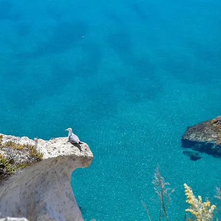 Apartment Maridea - Cave Ponza